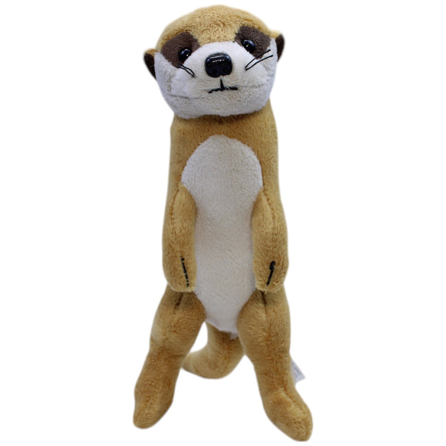 Süßes Erdmännchen
