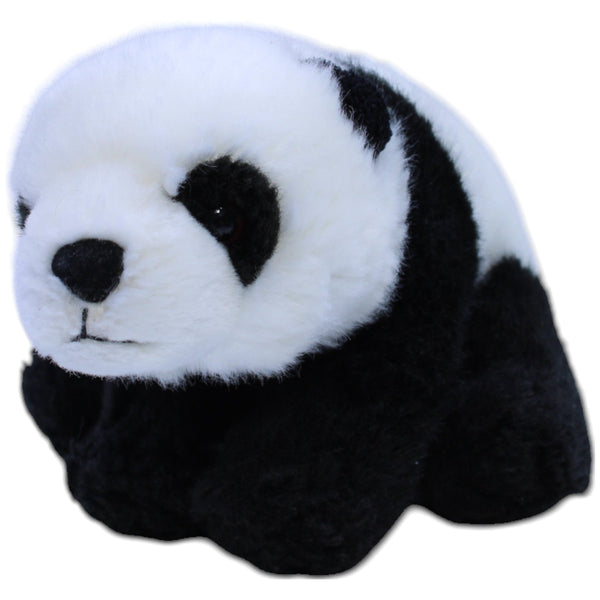 Kleiner Panda, sitzend