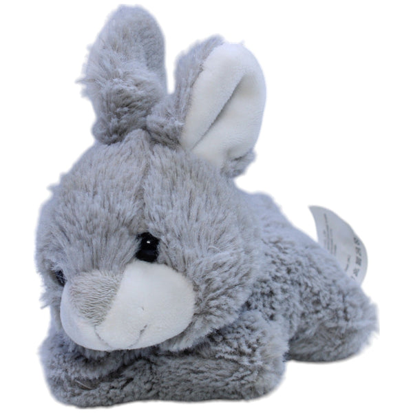 Action, süßer Hase