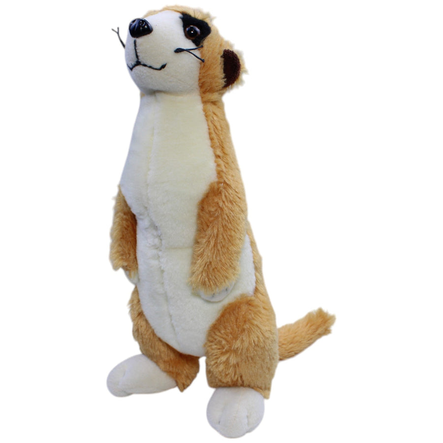 Erdmännchen, stehend