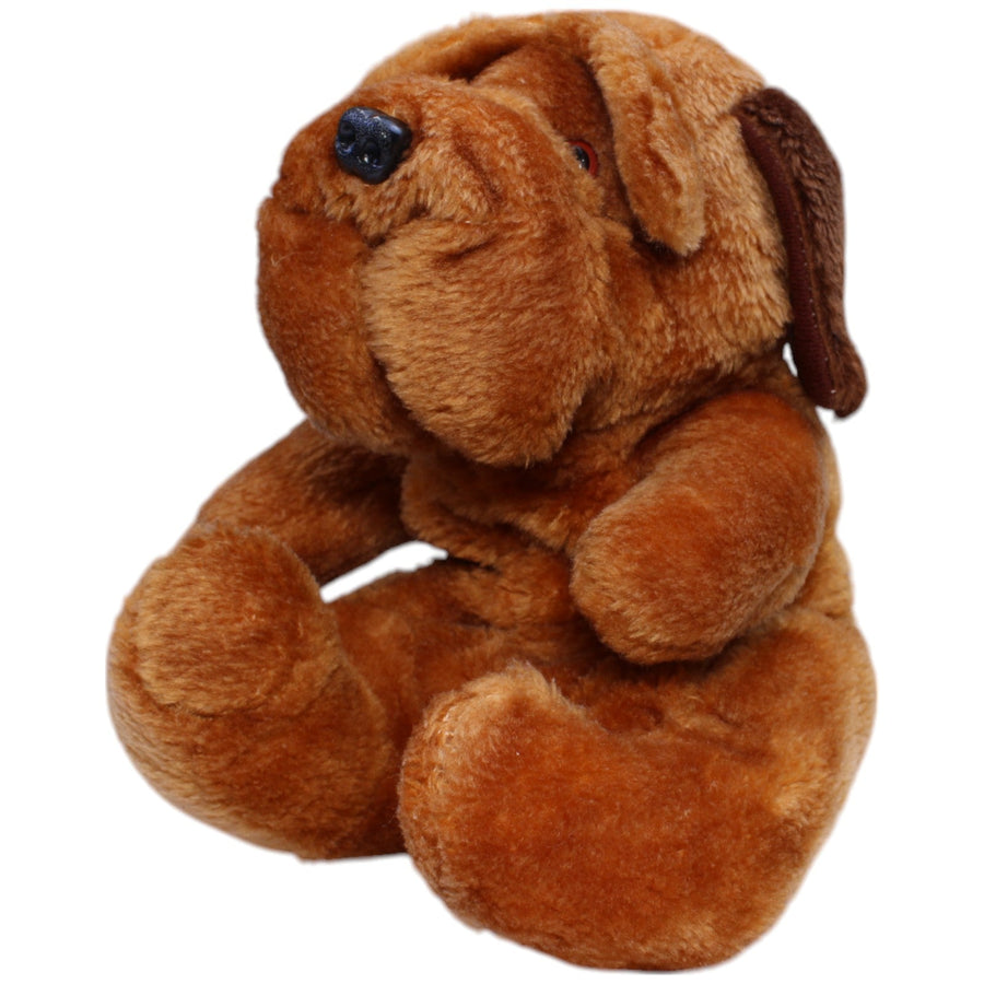 Shar Pei Hund, sitzend