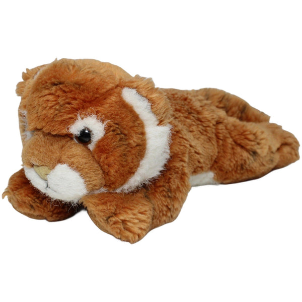 Baby Tiger, liegend