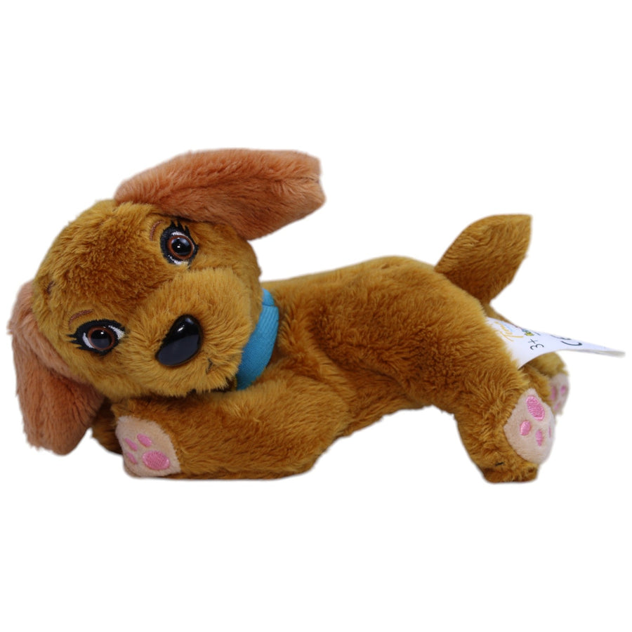 Brauner Hund mit Klettverschluss