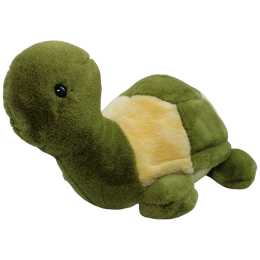 Schöne Schildkröte