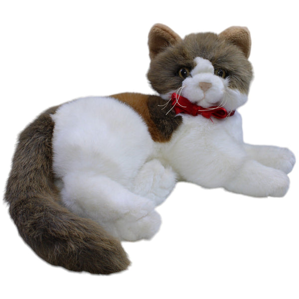 Große schöne Katze