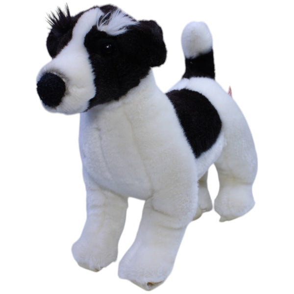 Border Collie (ohne Rollen)