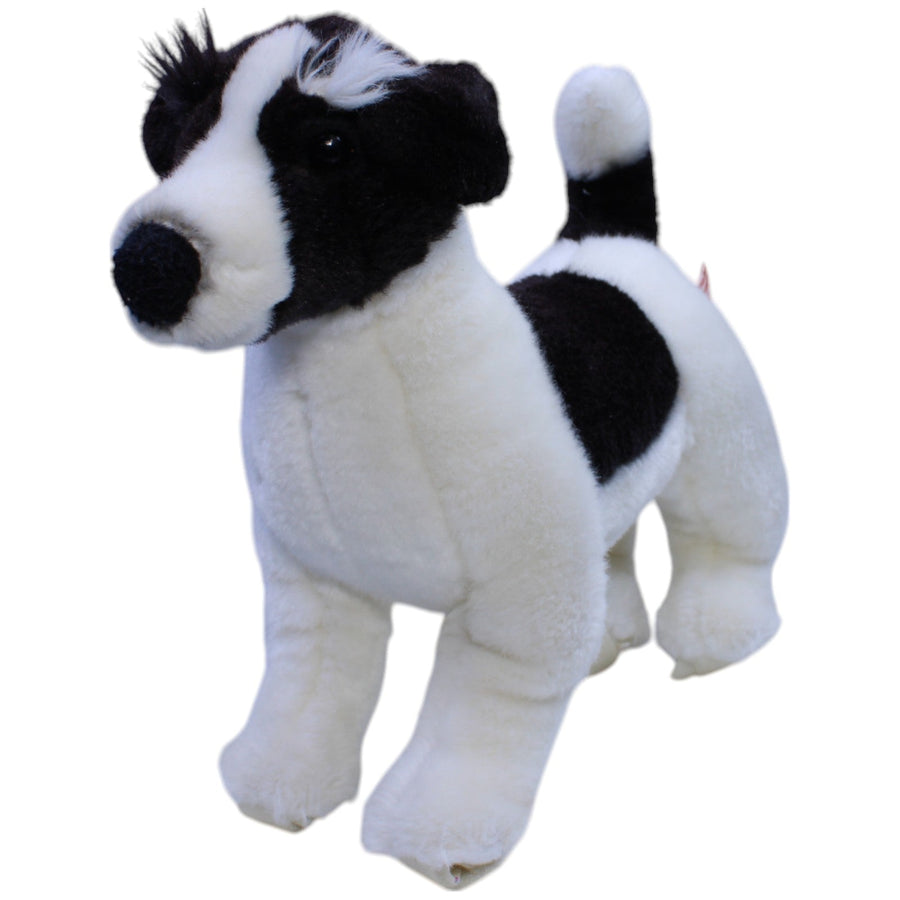 Border Collie (ohne Rollen)