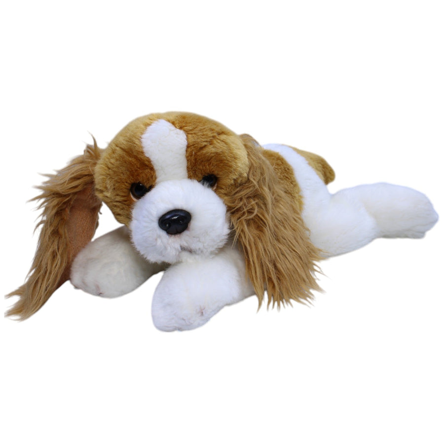 Großer Cocker Spaniel, liegend