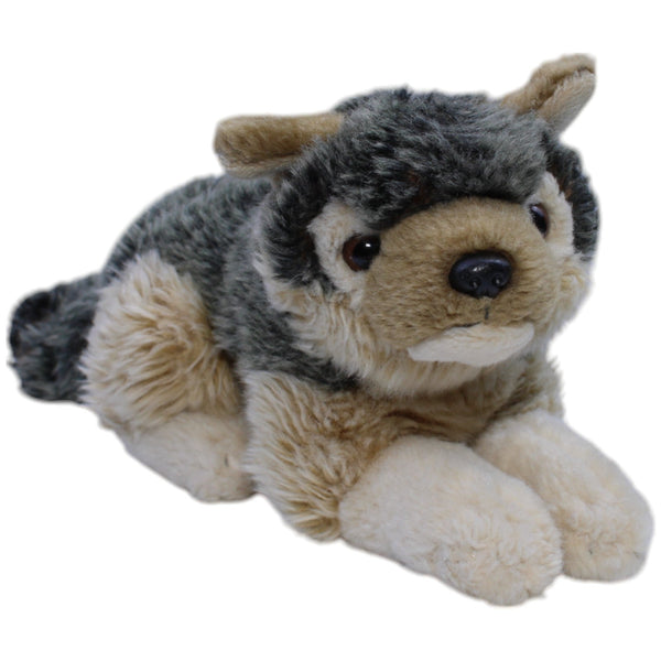 Hübscher Wolf, liegend