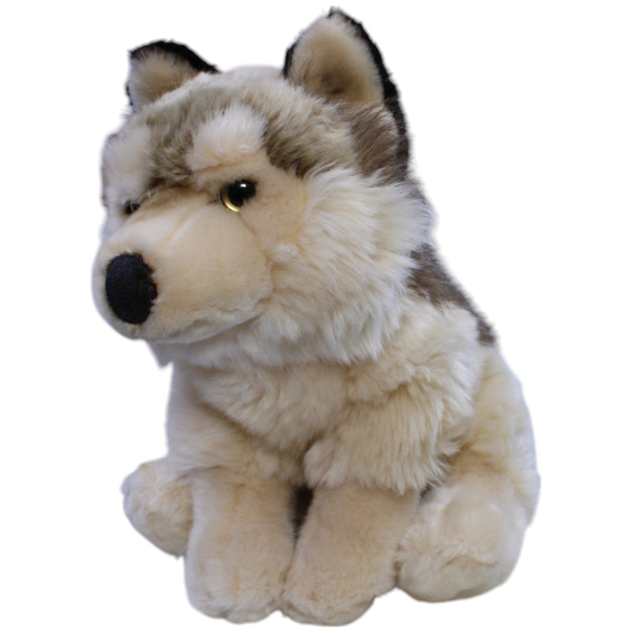 Hübscher Wolf, sitzend