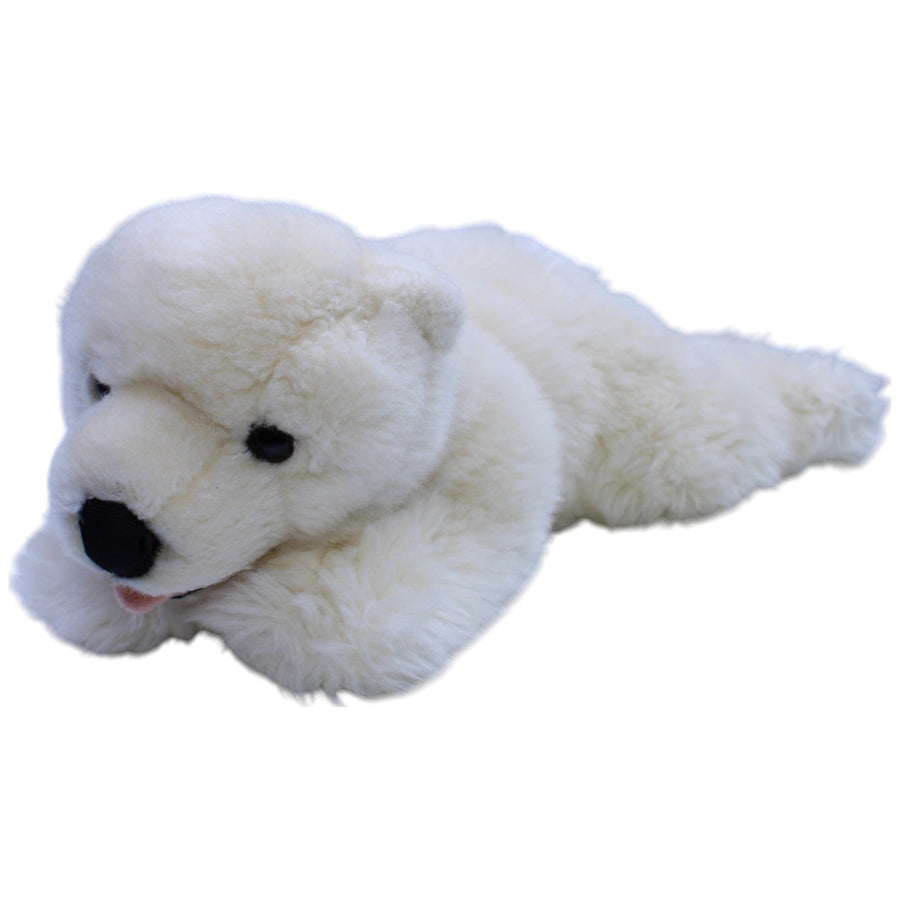 Eisbär, liegend