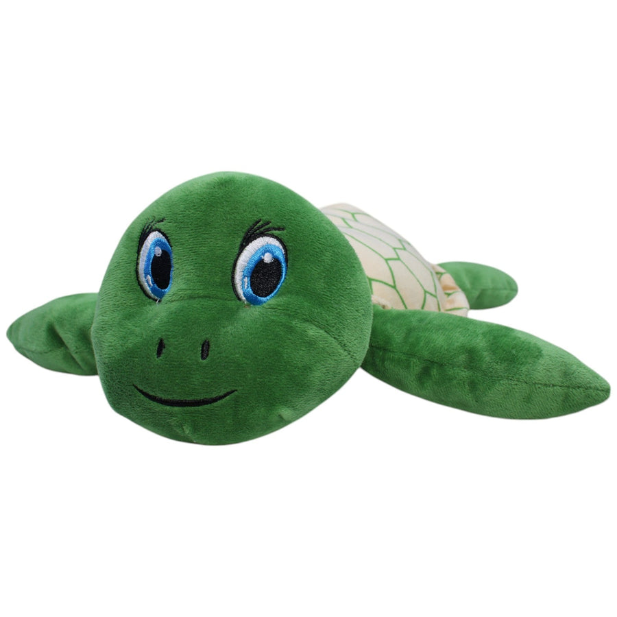 Grüne Schildkröte, groß