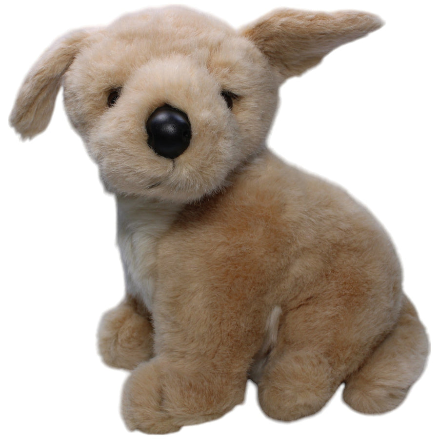 Hund, Waldemar Wuff