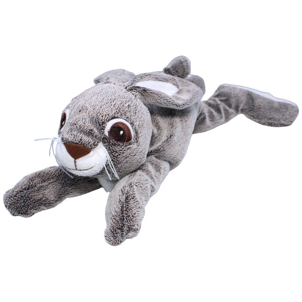 Hase, VANDRING HARE