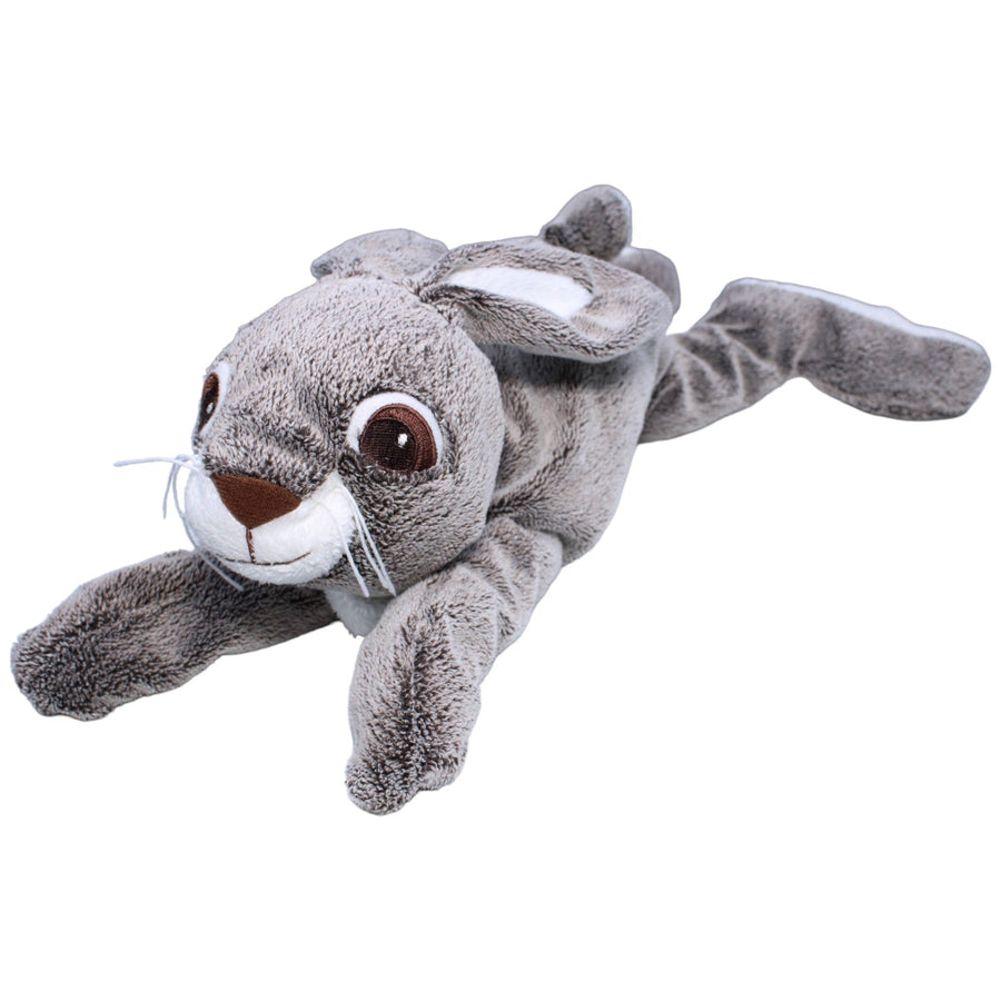 Hase, VANDRING HARE