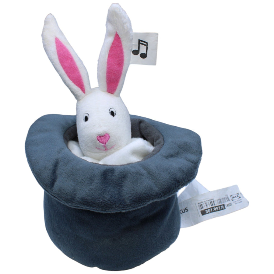 Hase, LEKA CIRKUS