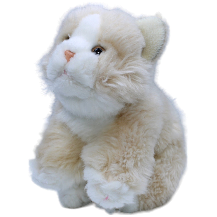 Katze, beige