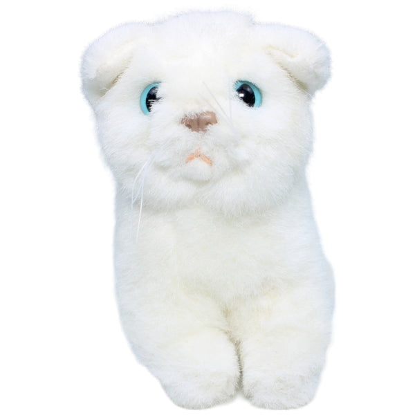 Katze, weiß