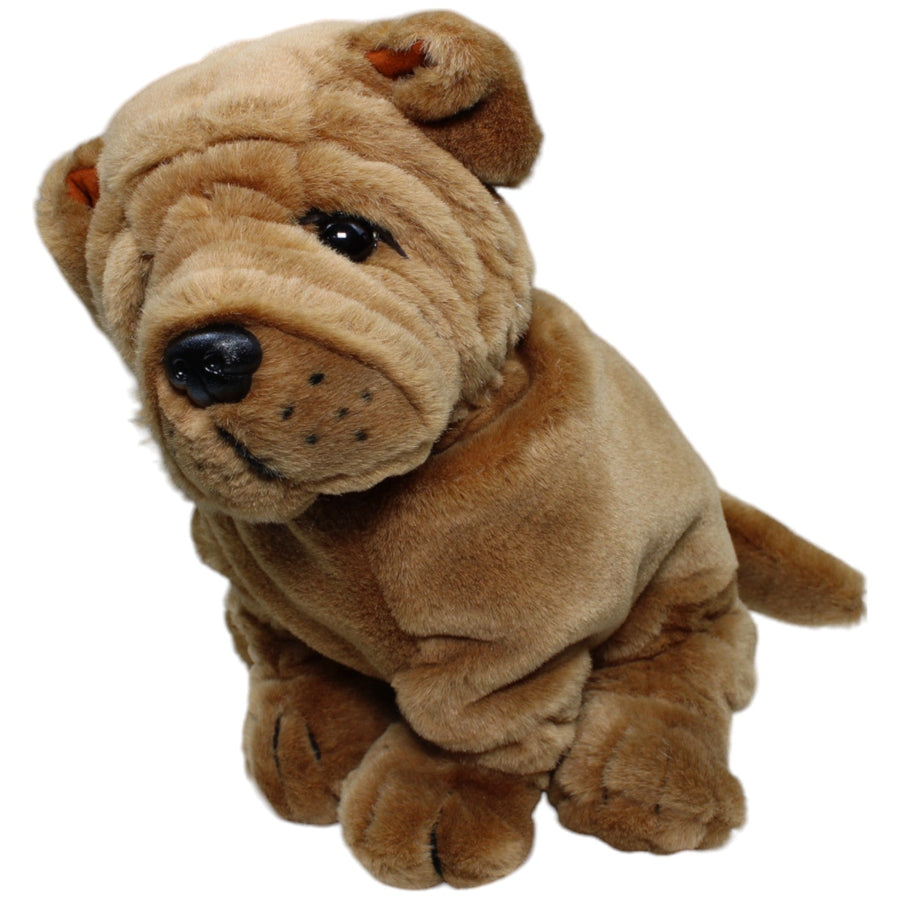 Shar Pei, sitzend