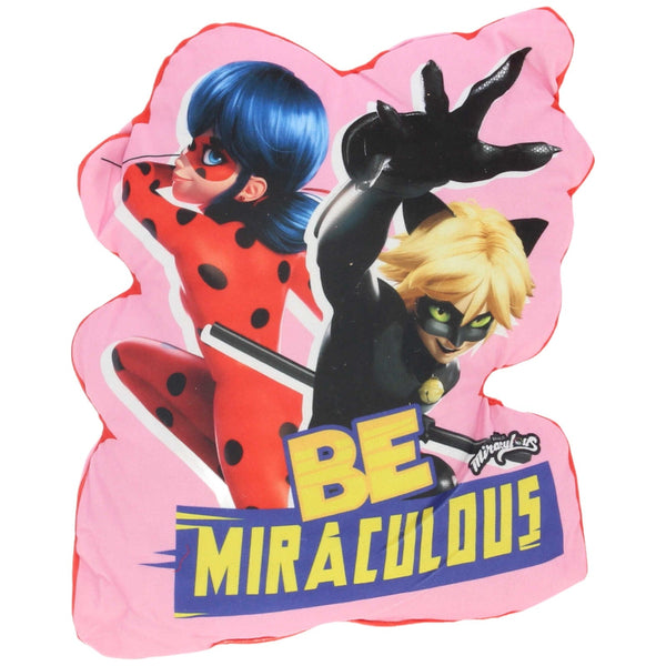 Ladybug & Cat Noir "BE MIRACULOUS"