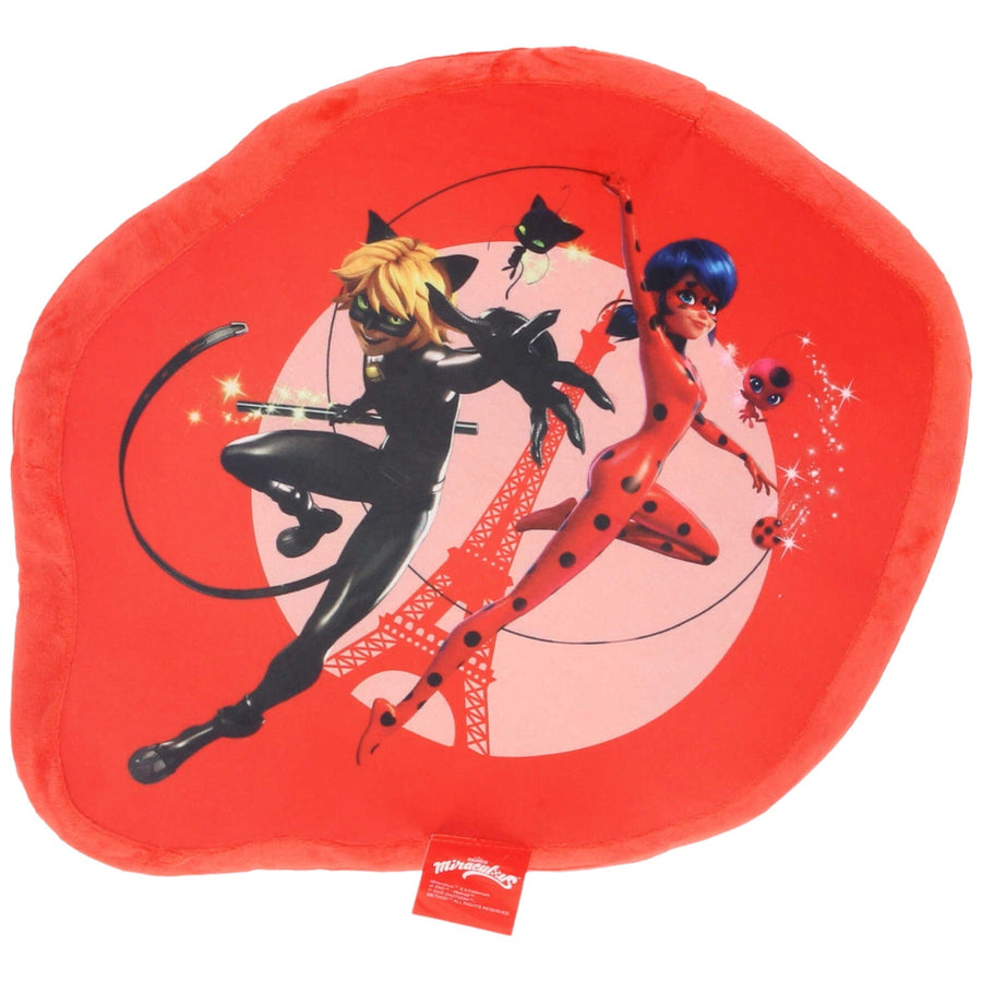 Ladybug & Cat Noir aus Miraculous