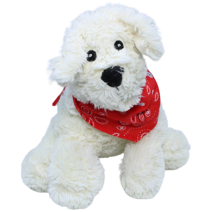 Hund mit Halstuch, weiß