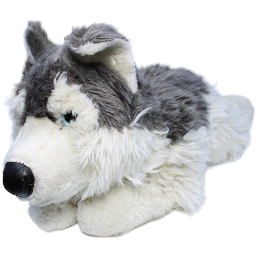Husky, liegend