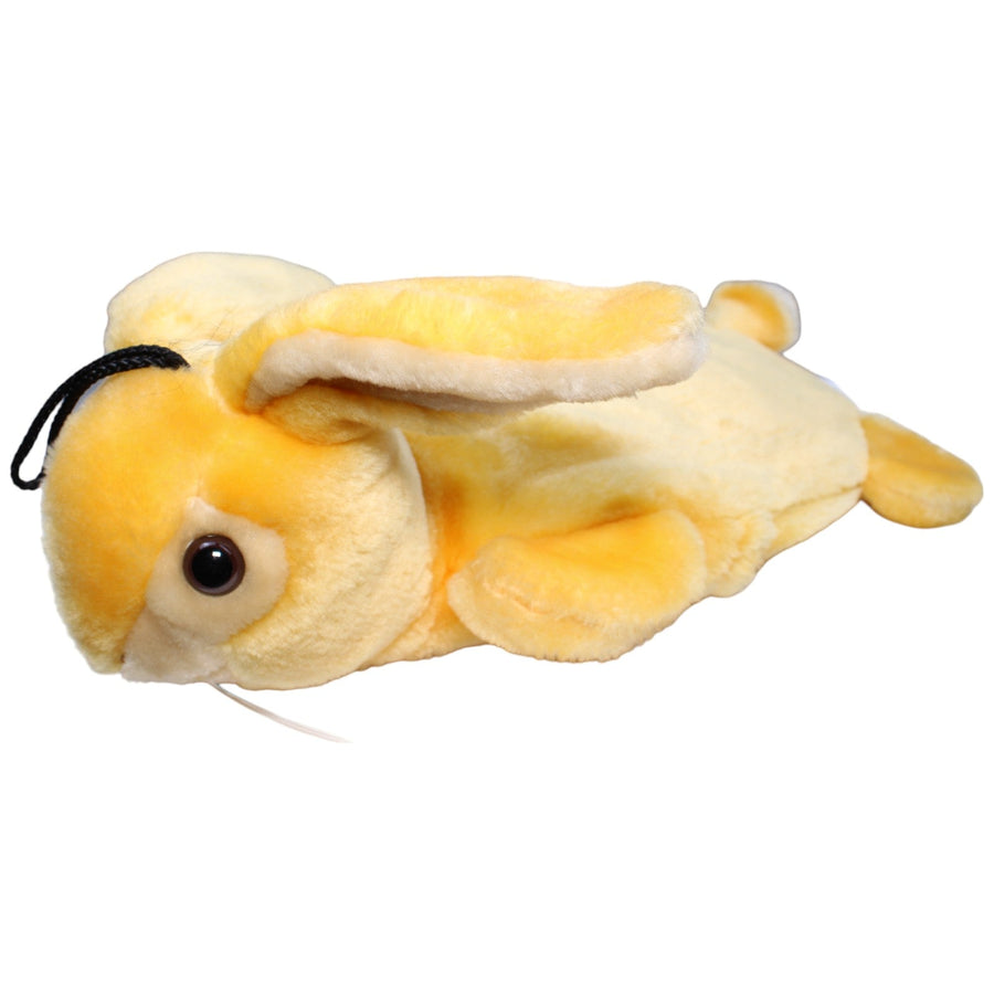 Hase, orange
