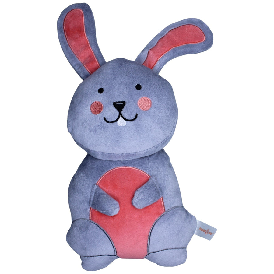 XL Hase