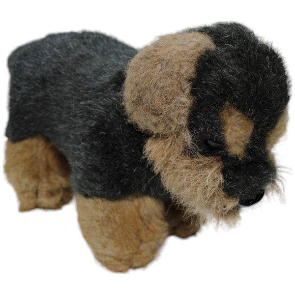 Hund, Rauhaardackel