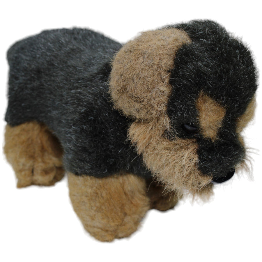 Hund, Rauhaardackel