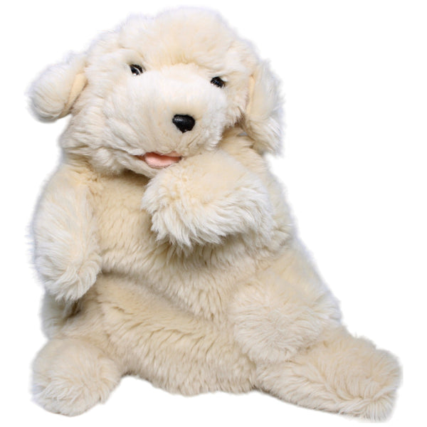 Golden Retriever Welpe
