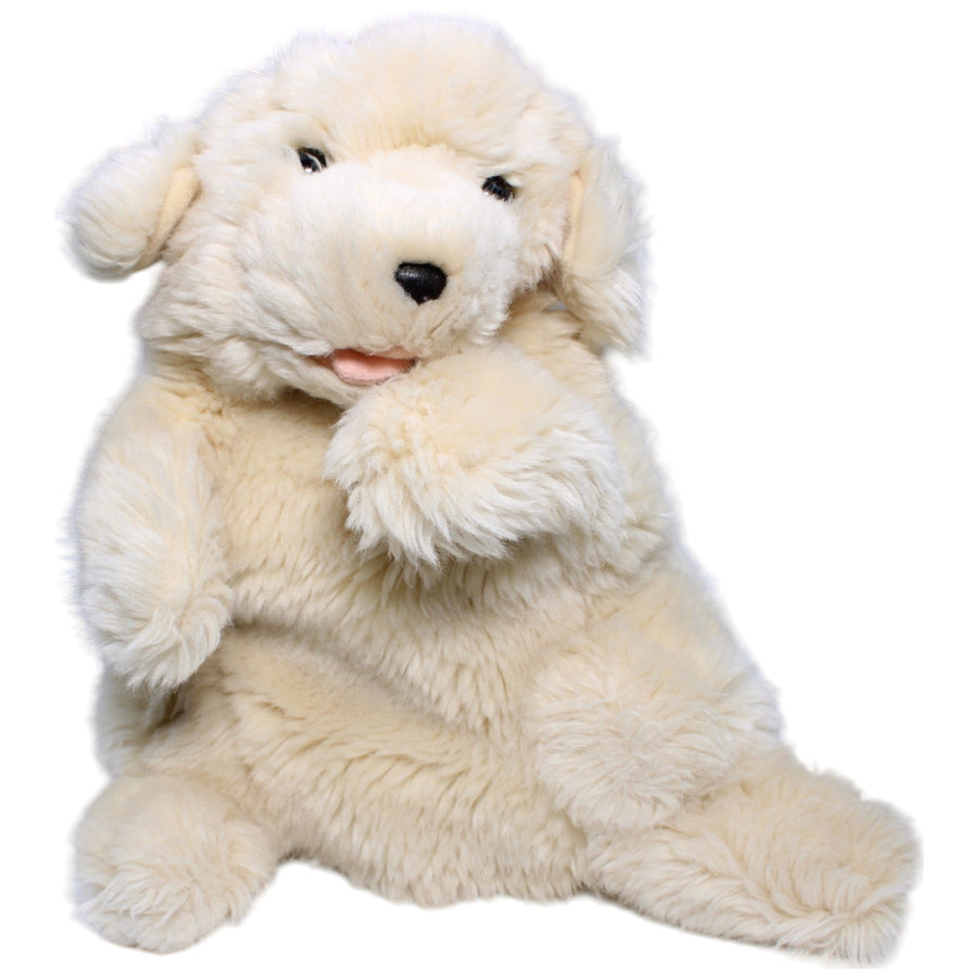 Golden Retriever Welpe