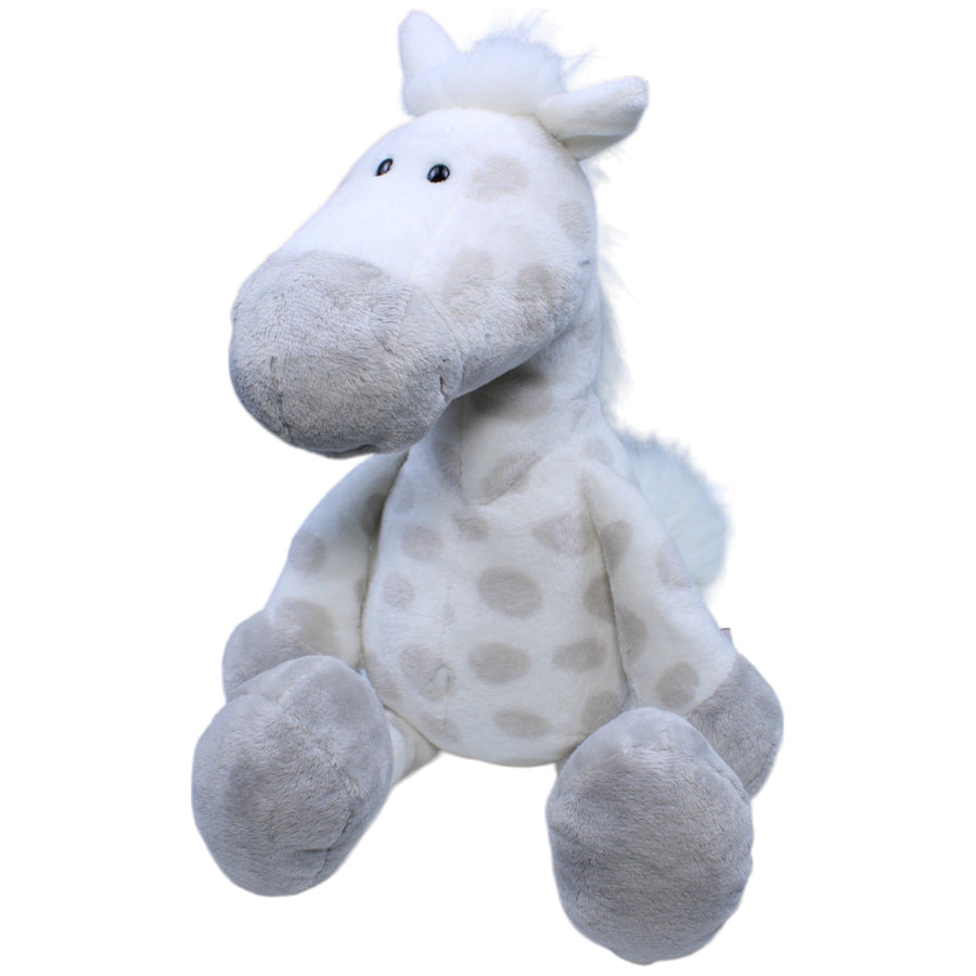 Pferd, Apfelschimmel