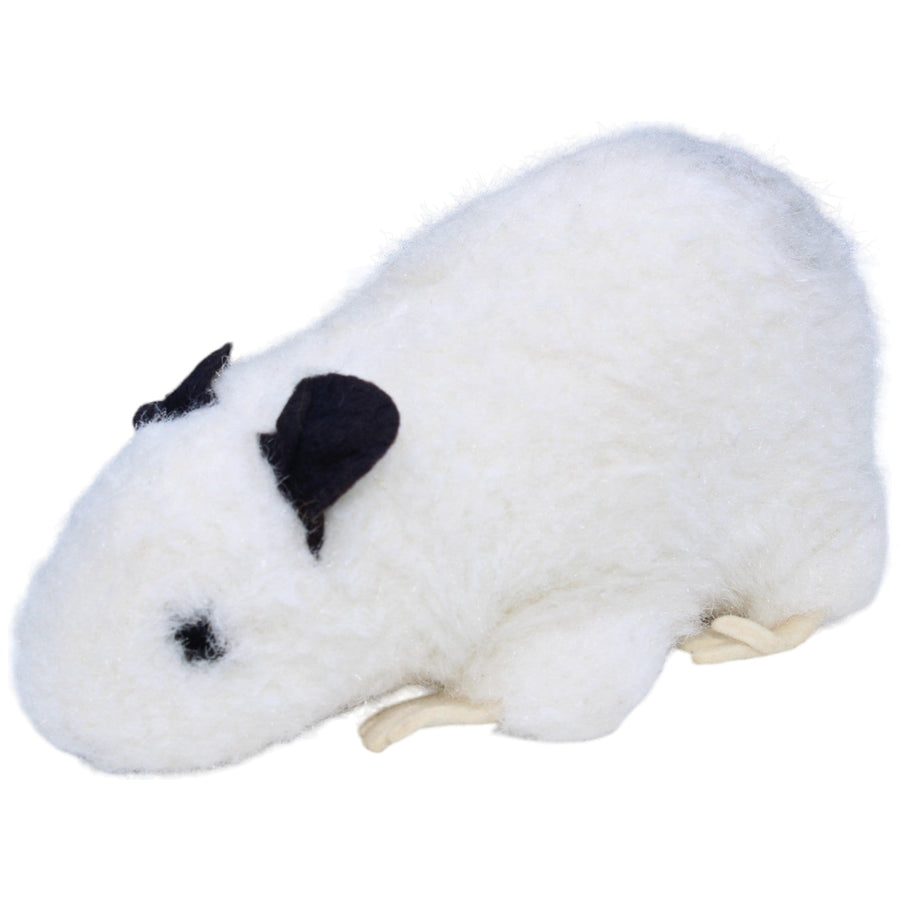 Meerschweinchen, weiß