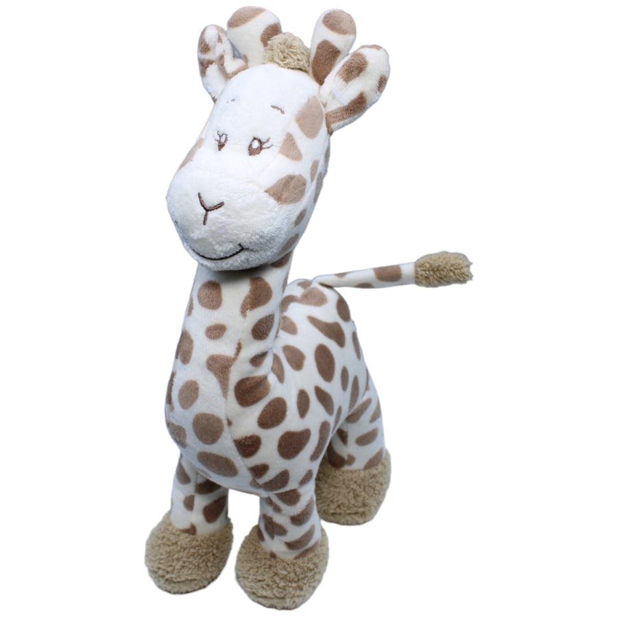 Giraffe, stehend