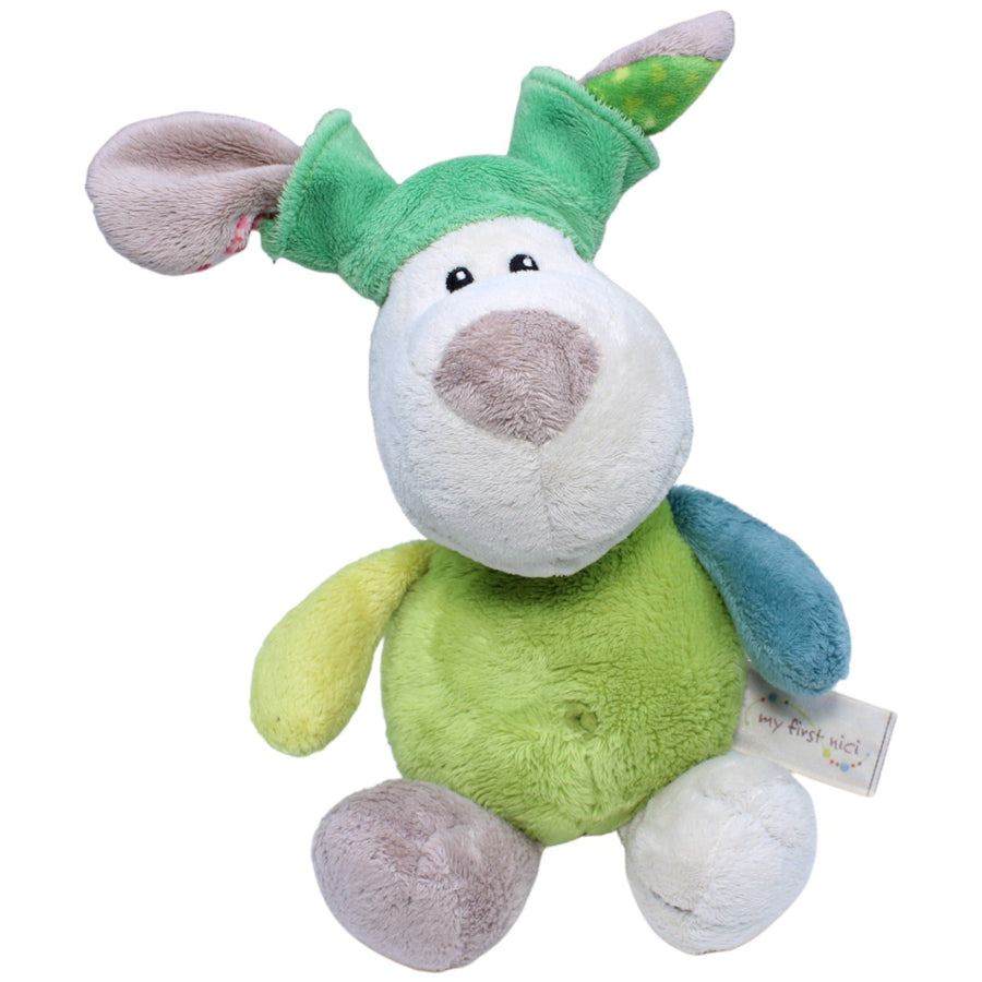 My first NICI, Hund Fino