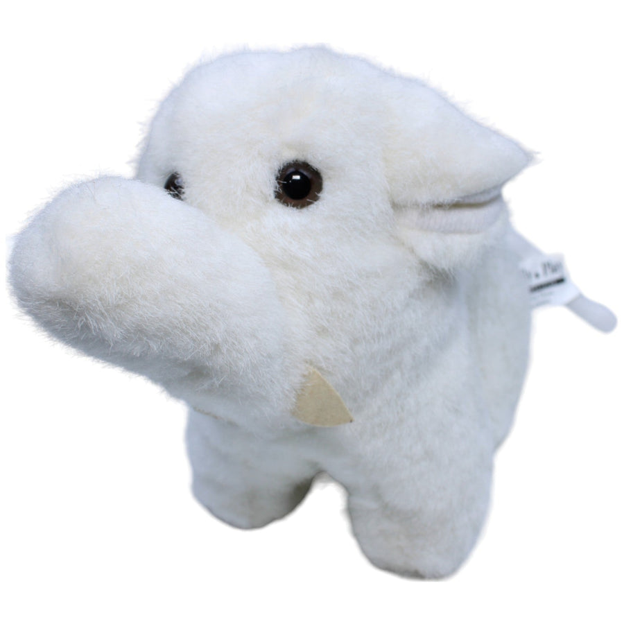 Elefant, weiß