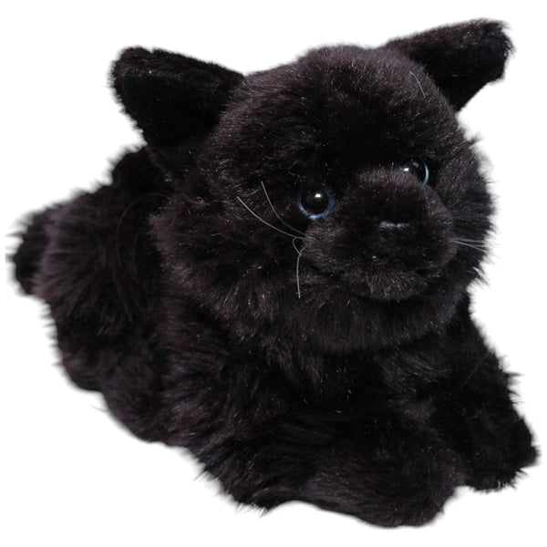 Schwarze Hauskatze