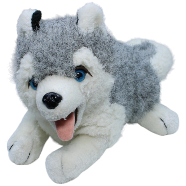 Husky, liegend