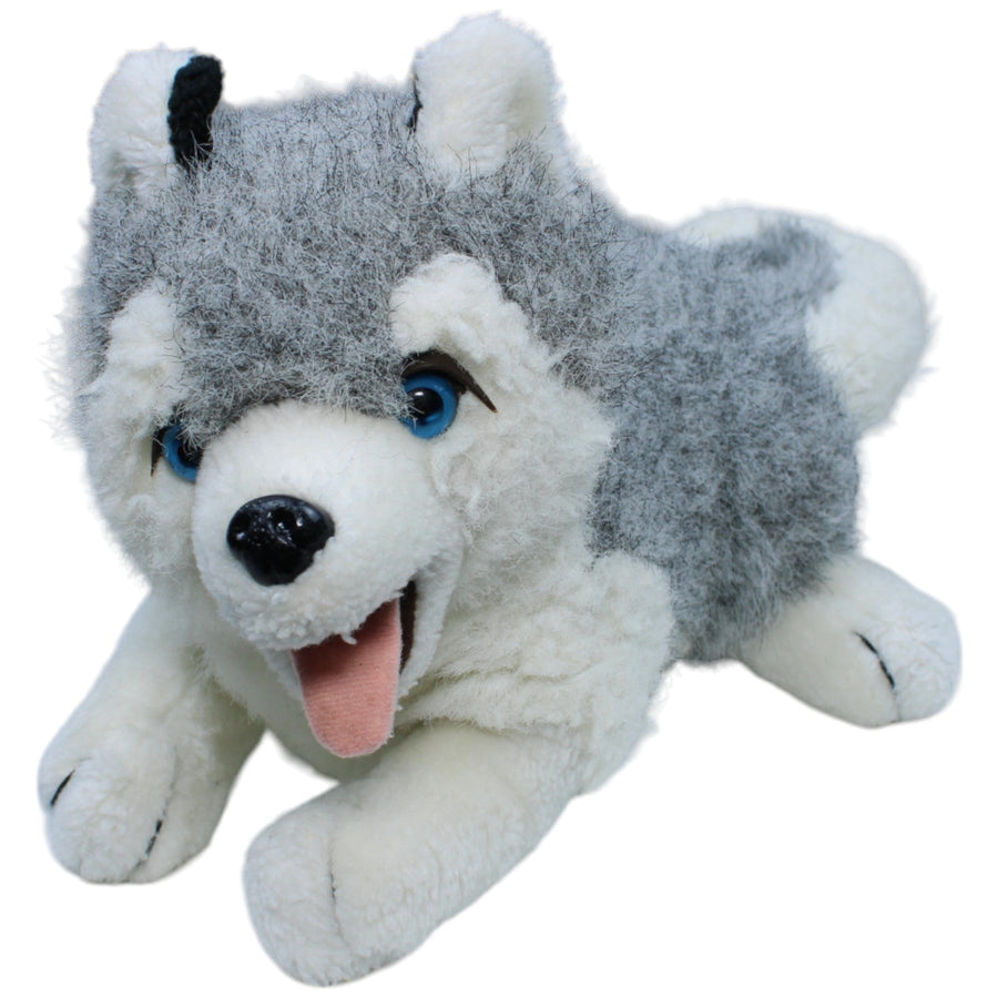 Husky, liegend