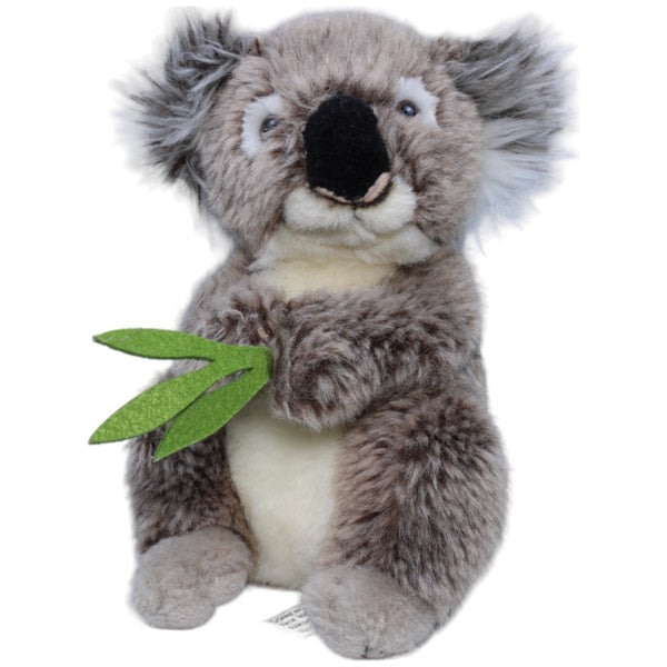 Koala mit Eukalyptus