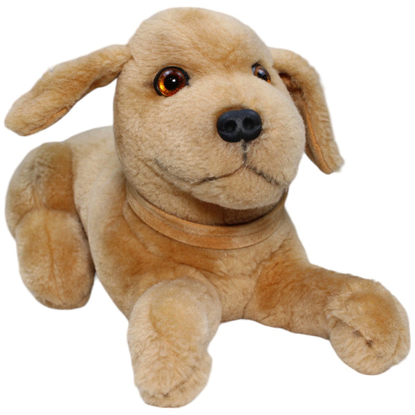 Golden Retriever, liegend