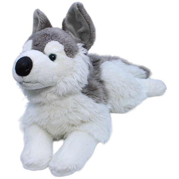 XL Husky, liegend