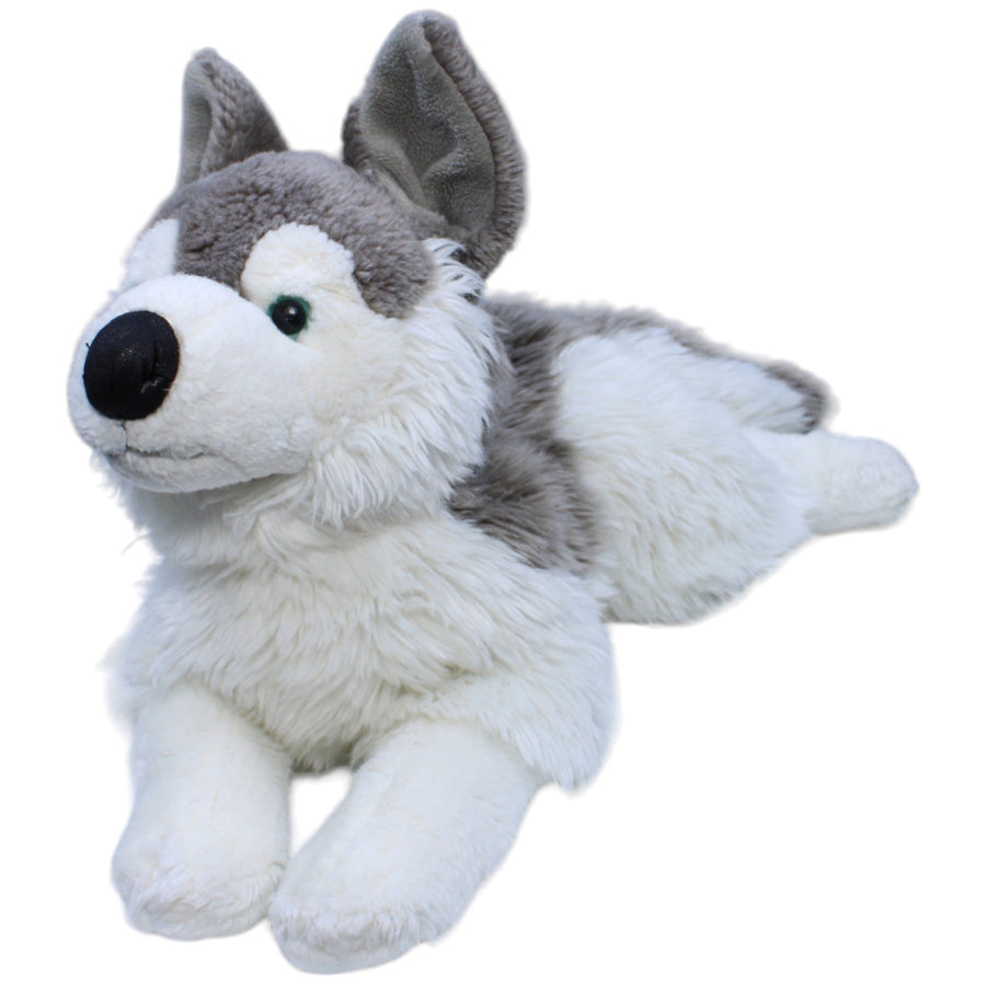 XL Husky, liegend