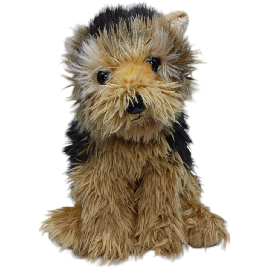 Yorkshire Terrier, sitzend