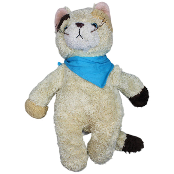 Braune Katze mit blauem Halstuch