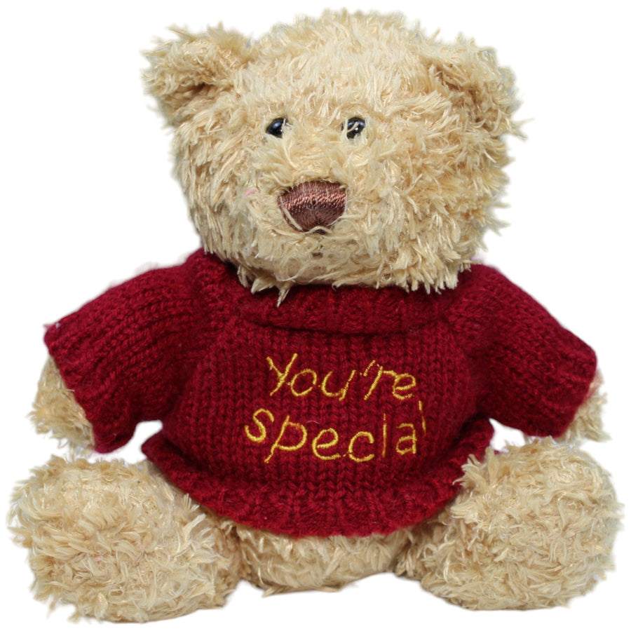 Teddybär mit Pulli " You´re special ", hellbraun
