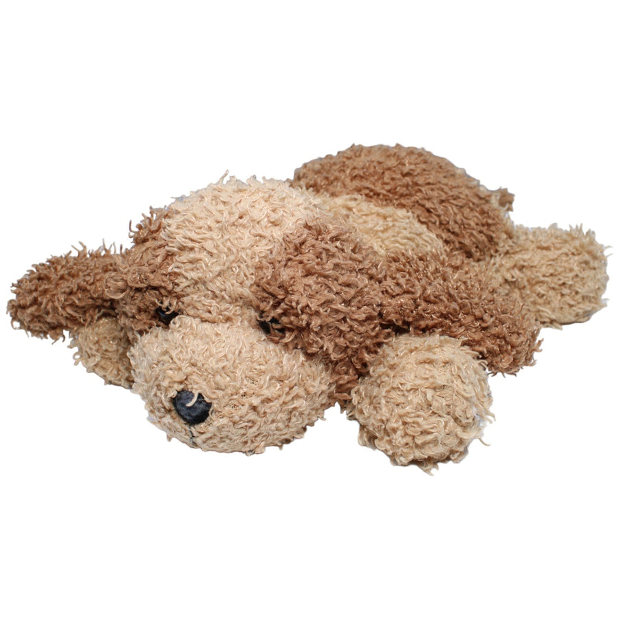 Hund Scruffy, liegend