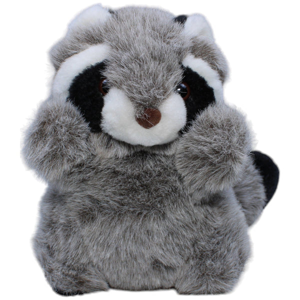Waschbär, stehend